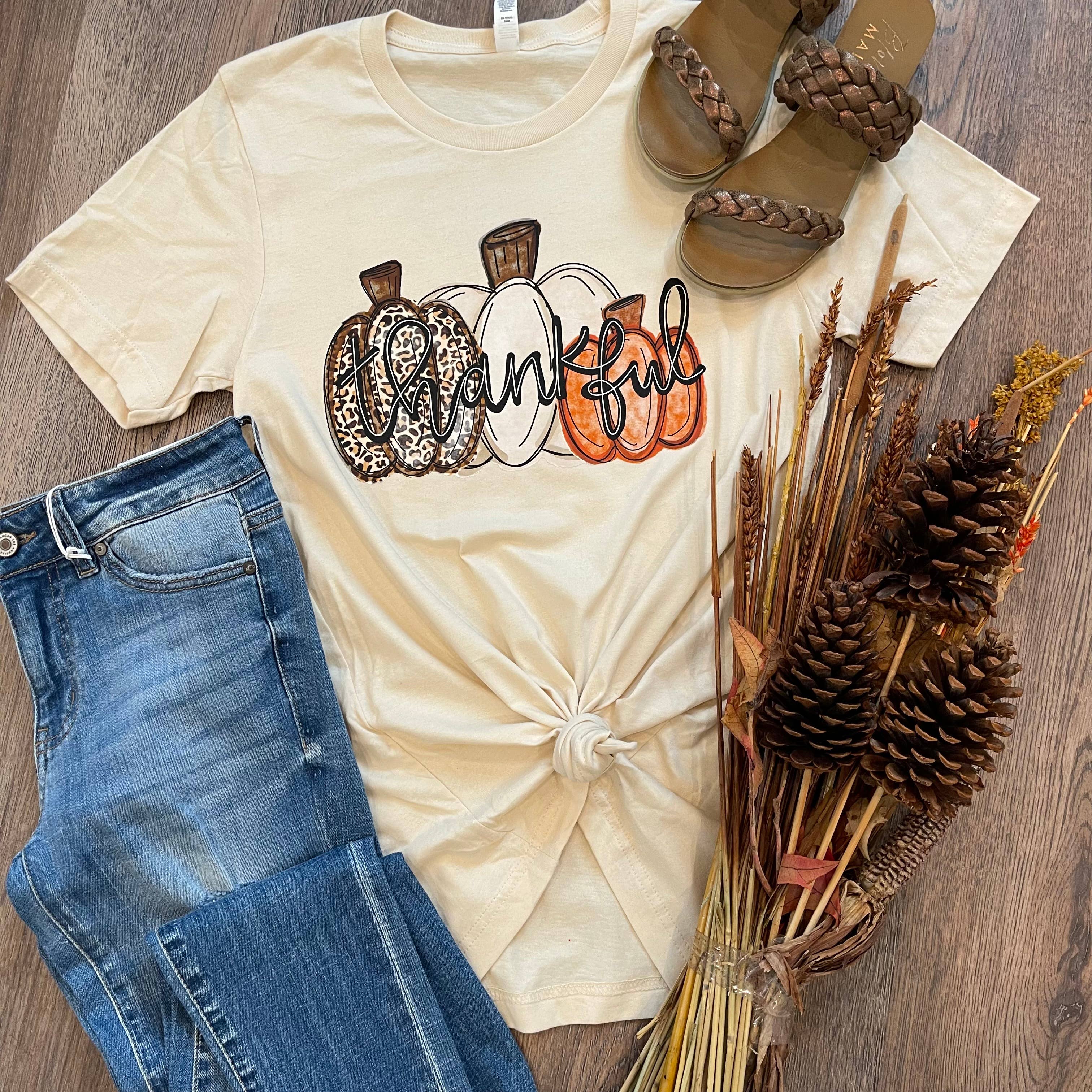 Thankful Pumpkin Tee Hoodie, Sweatshirt | PodTeesHub.com