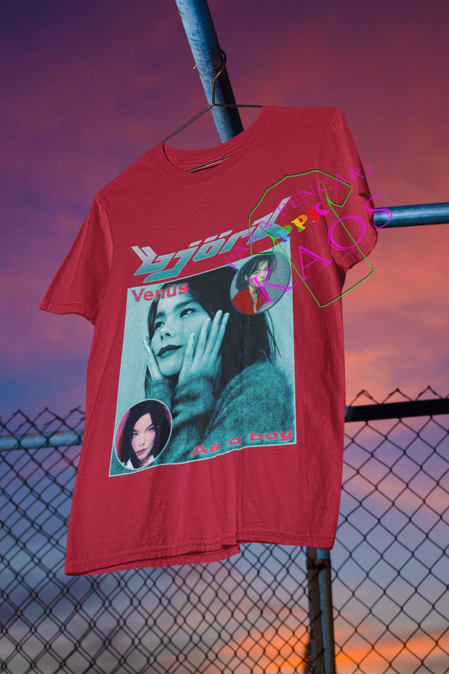 Bjork A Venus Boy Retro T-Shirt Fashion Hoodie, Sweatshirt | PodTeesHub.com