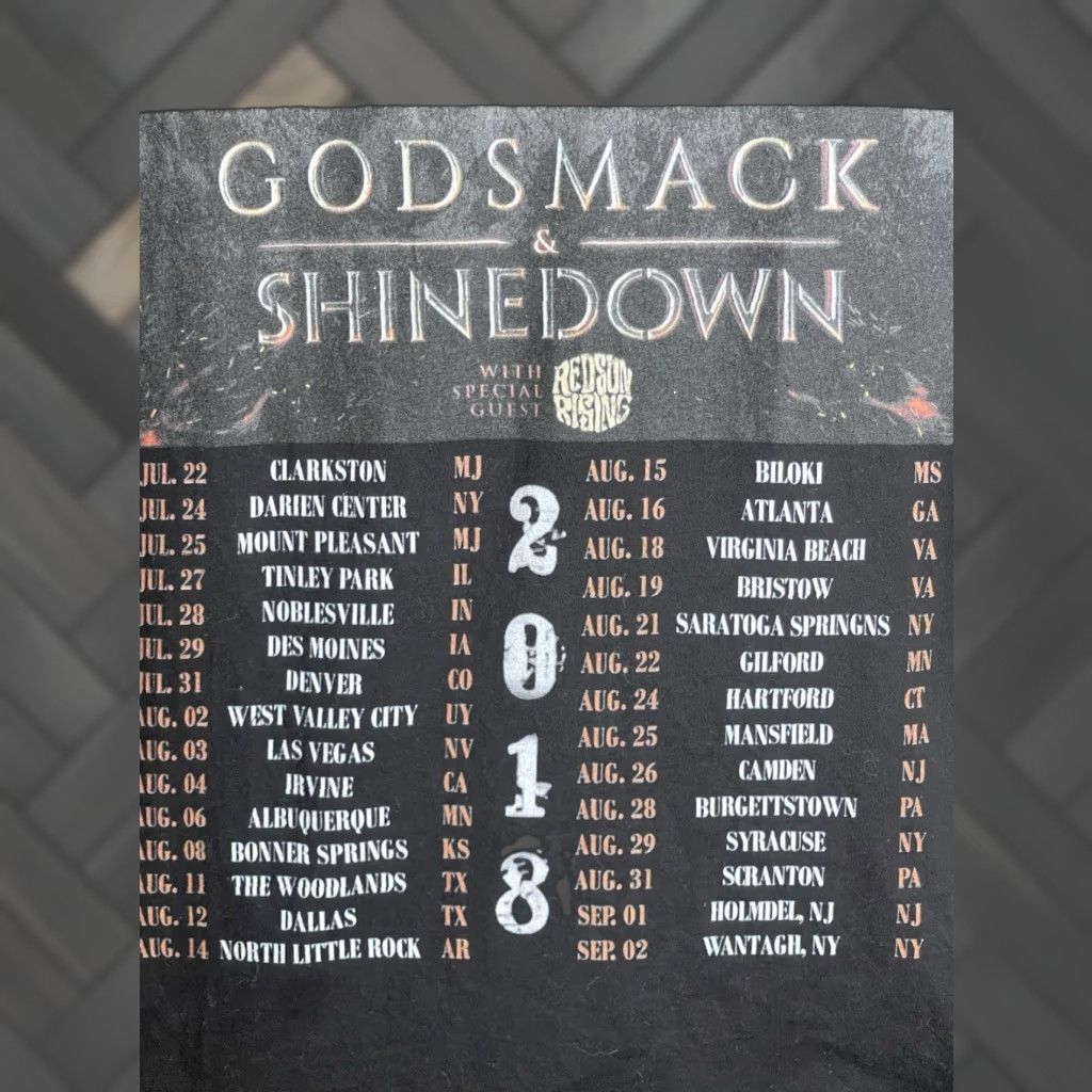 Gildan Godsmack Shinedown Tour Promo Music Concert T Shirt Black Xl Double Sided 2018 Hoodie, Sweatshirt | PodTeesHub.com