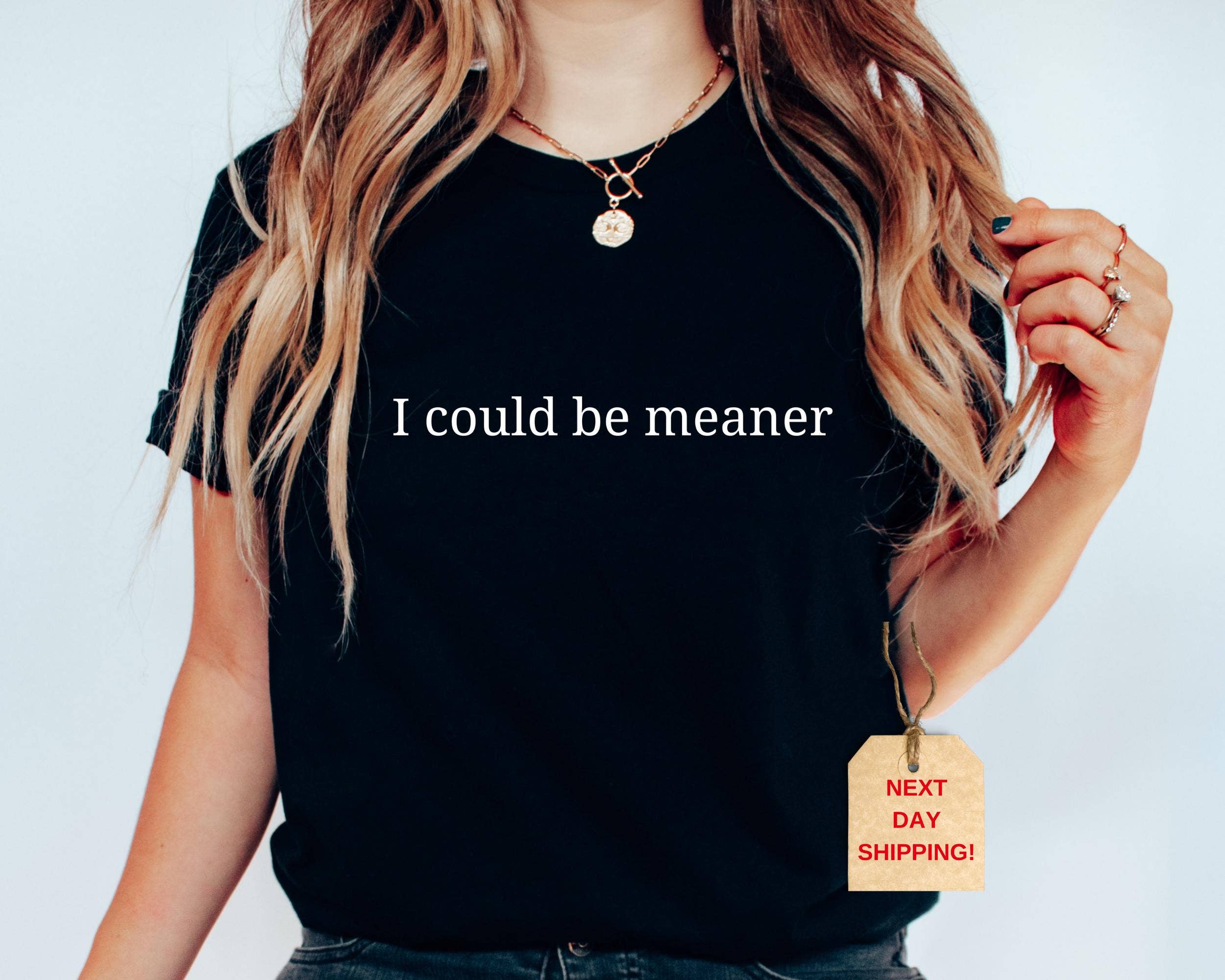I Could Be Meaner Funny Quote Sarcastic Humor Tee Hoodie, Sweatshirt | PodTeesHub.com