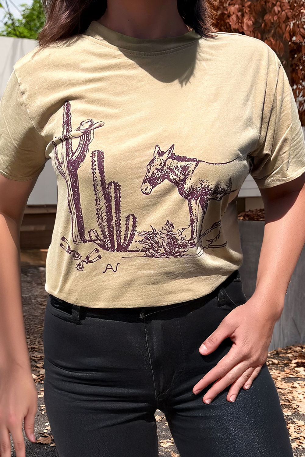 Plus Size Western Burro Cactus Crew Neck Graphic Tee Hoodie, Sweatshirt | PodTeesHub.com