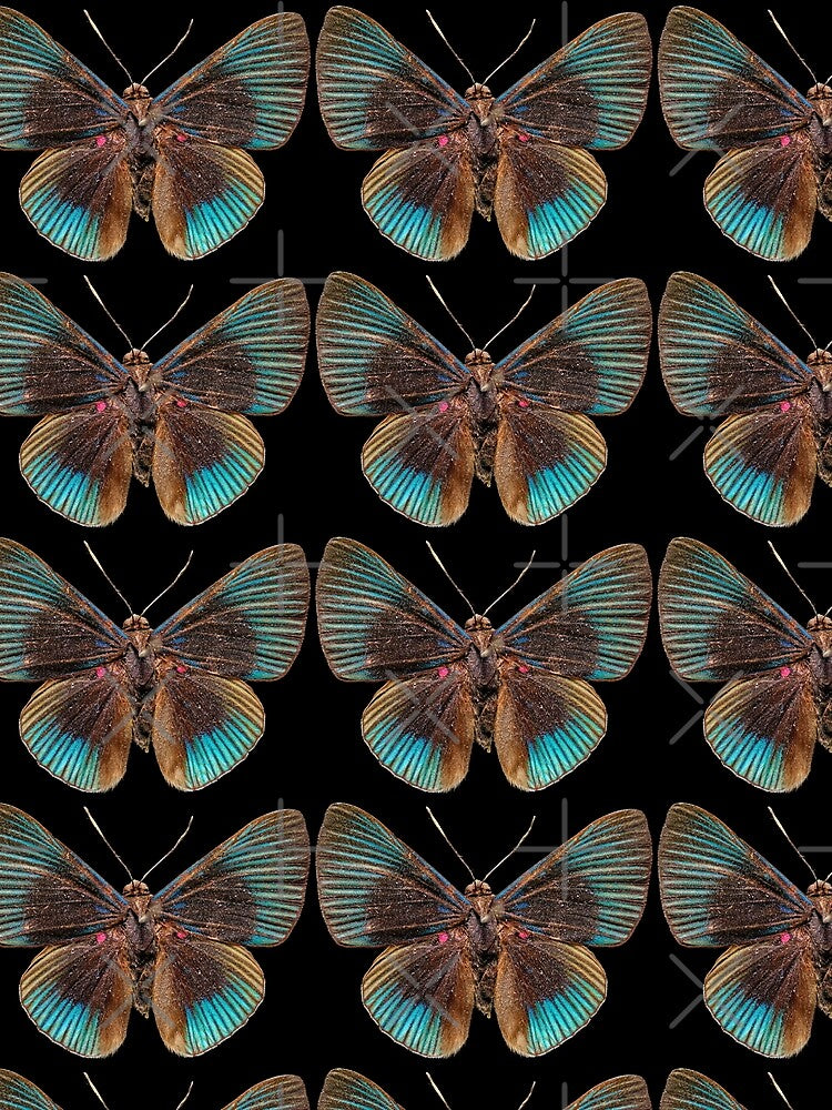 DESIGNER BUTTERFLY by THE GOOD FIND