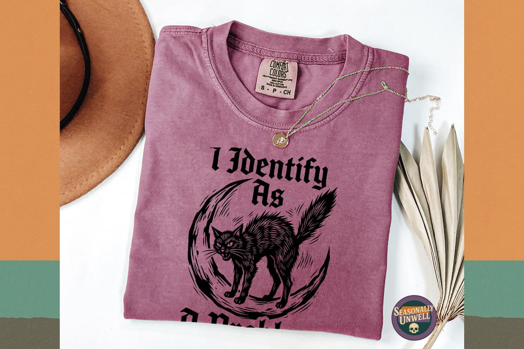 Identify Problem Comfort Colors Black Cat Lover Unisex T-shirt, Sweatshirt, Hoodie (4)