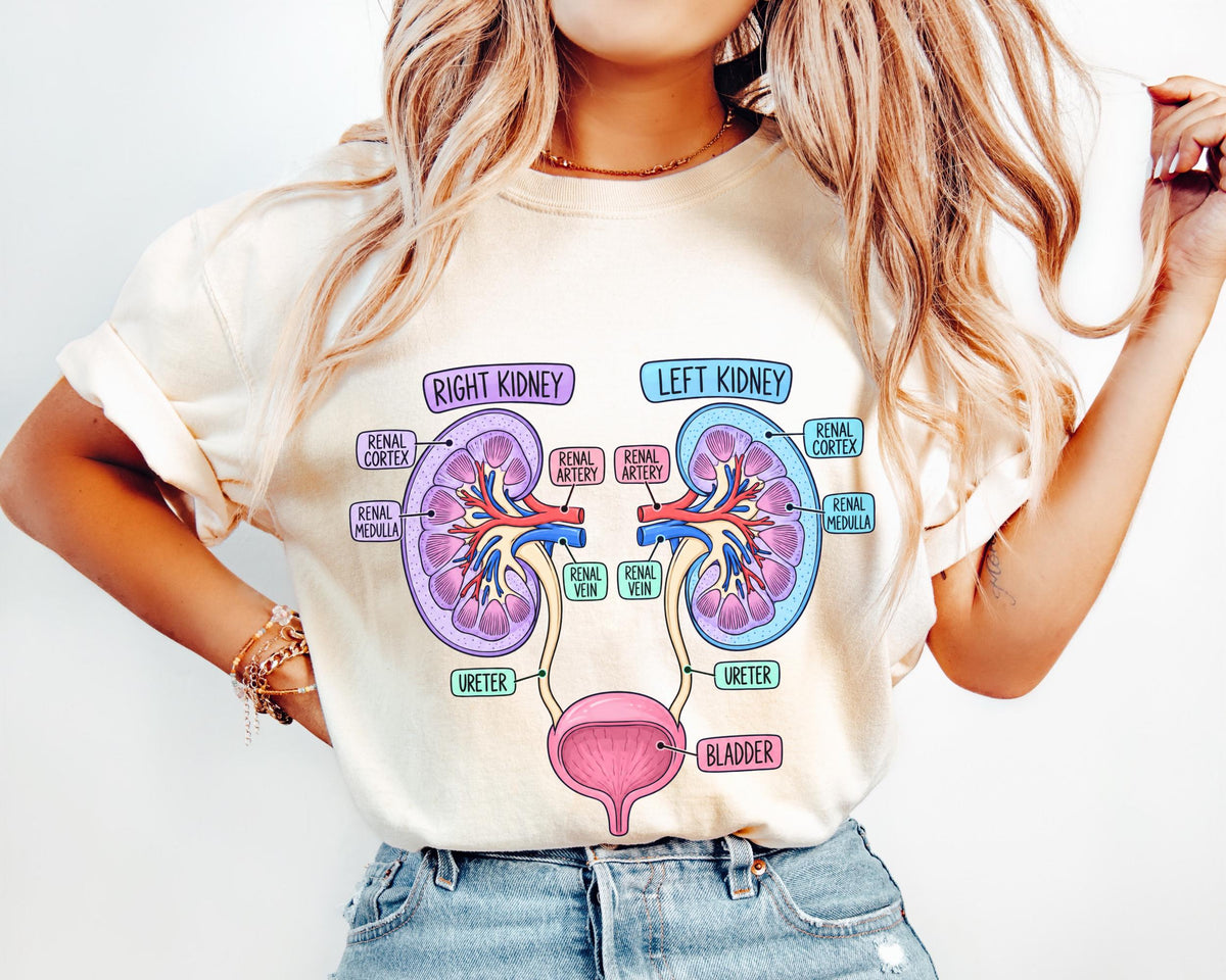 Comfort Colors Kidney Anatomy Urinary System Tee Anatomy Kidneys Medical Student Nephrology Nurse Renal Tee (3)
