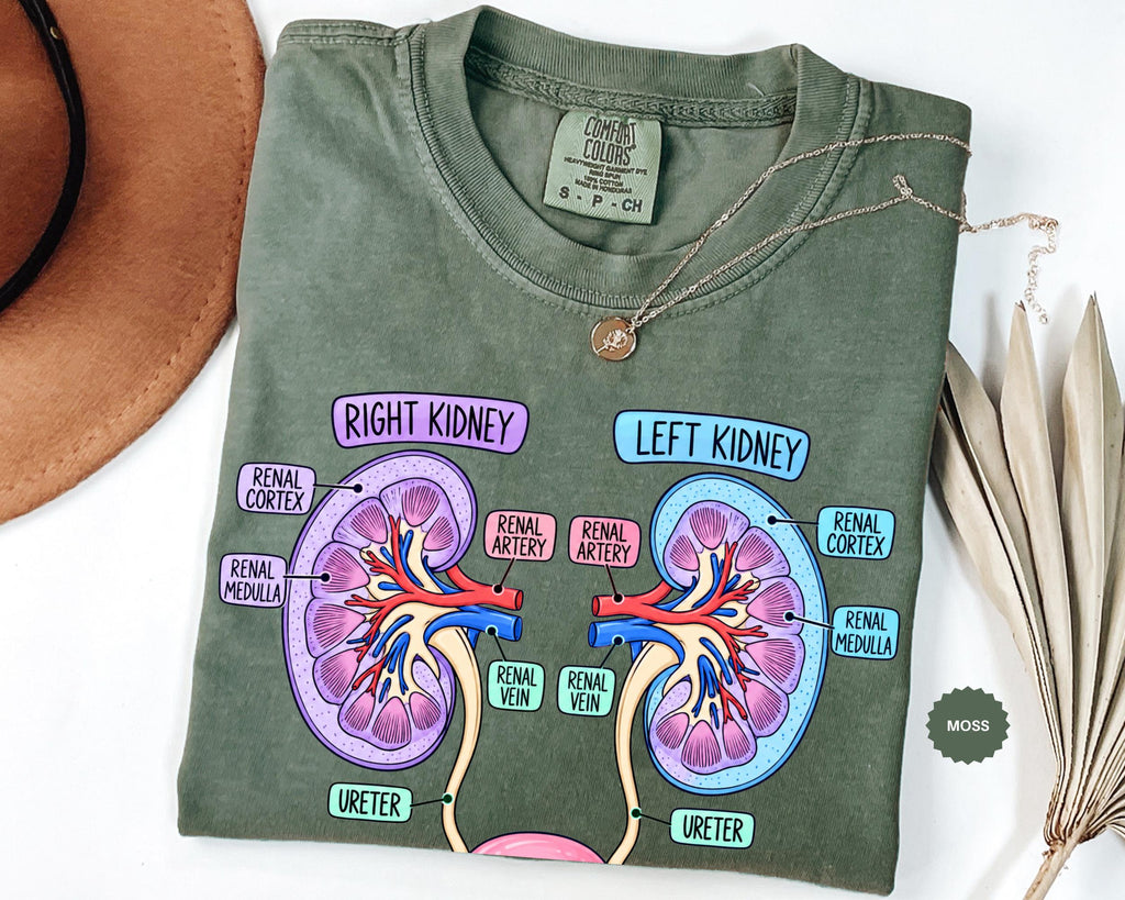 Comfort Colors Kidney Anatomy Urinary System Tee Anatomy Kidneys Medical Student Nephrology Nurse Renal Tee (2)