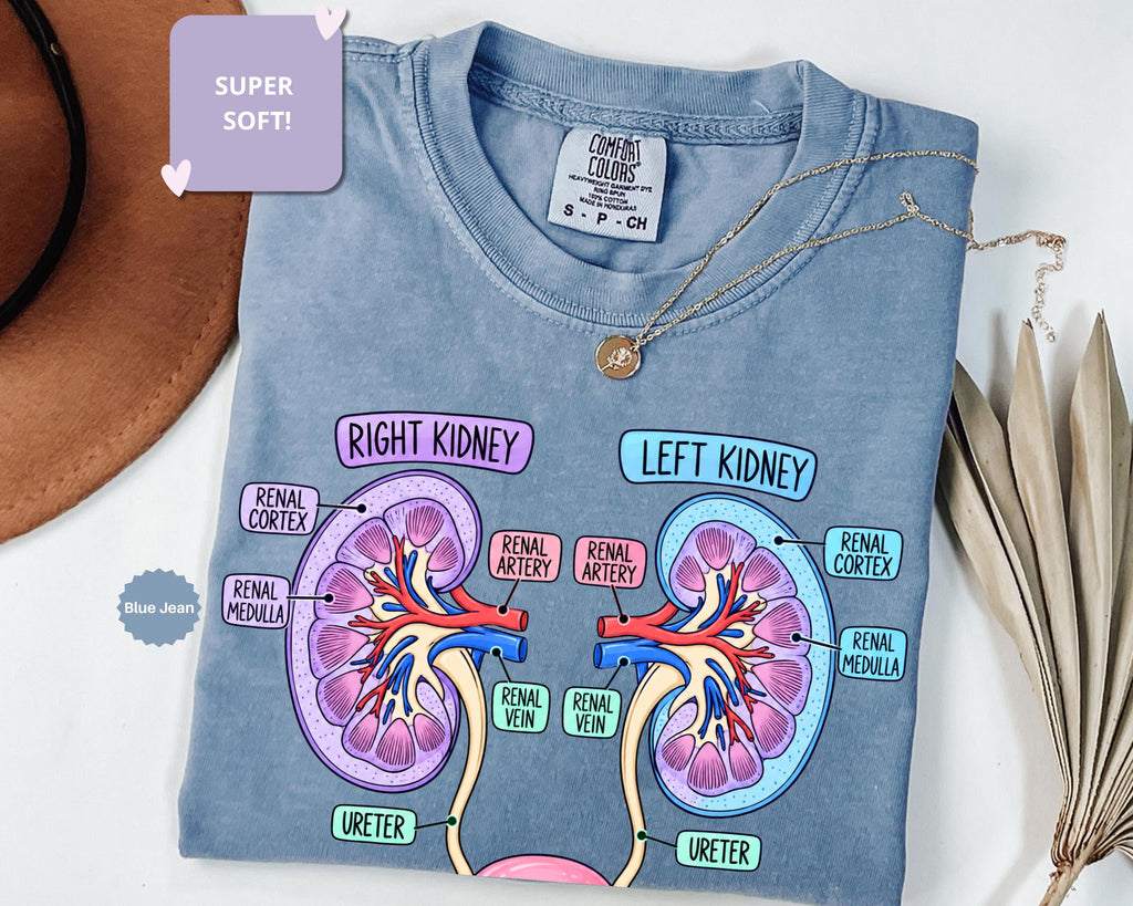 Comfort Colors Kidney Anatomy Urinary System Tee Anatomy Kidneys Medical Student Nephrology Nurse Renal Tee (1)