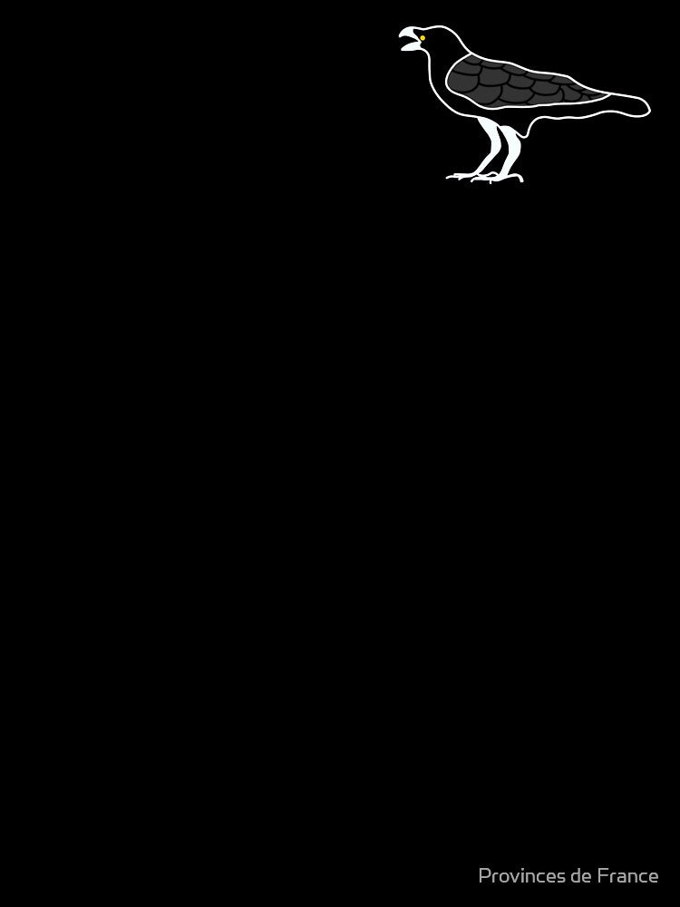 Minimalist crow logo by Provinces de France