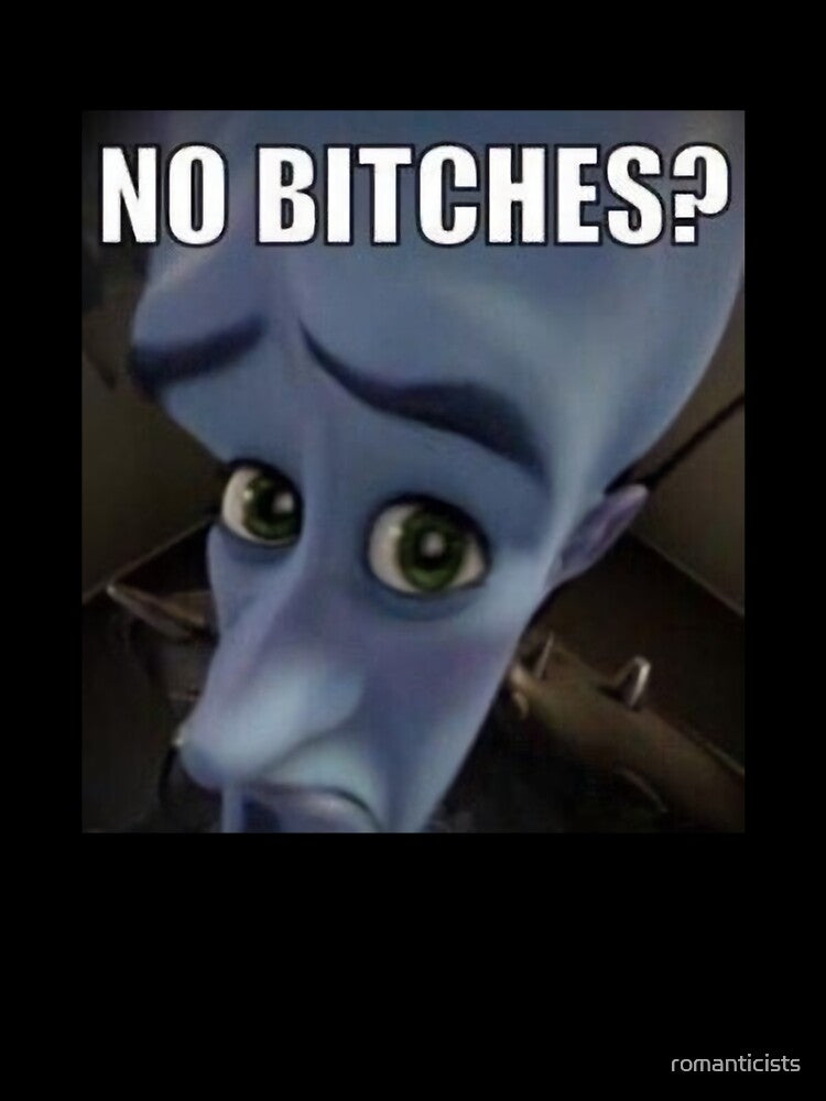 No Bitches? Megamind meme by romanticists