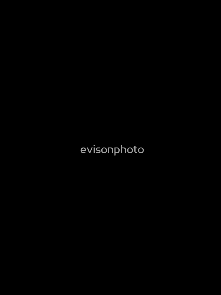 Late excuse by evisonphoto