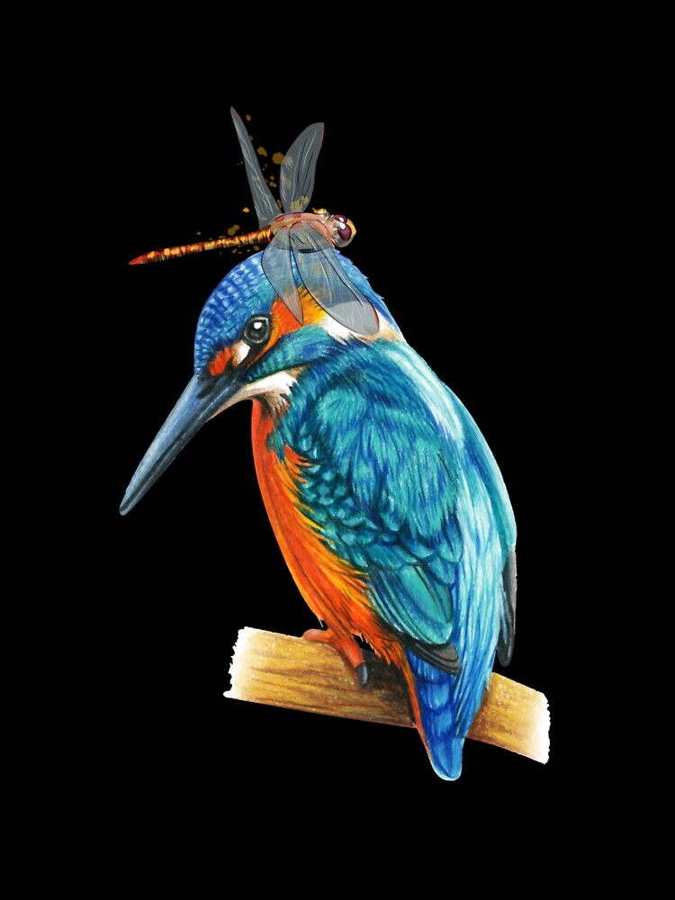 CUTE KINGFISHER DRAGONFLIES DRAGONFLY by sobriowslen
