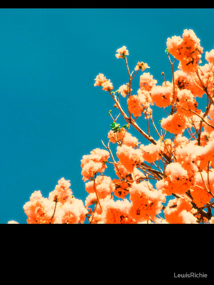 Aesthetic Anime Flowers by LewisRichie
