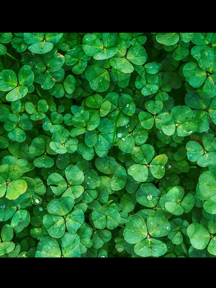 Green Is Not A Creative Color by laurelandblusx