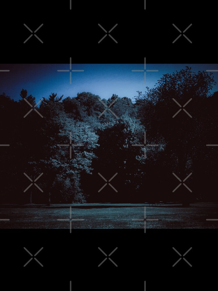 dazecore aesthetic trail landscape photography grunge vintage blue bunch of trees beautiful sky darker by sielexis