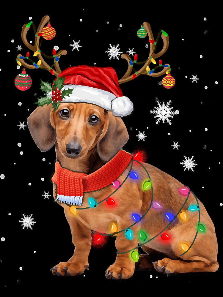 Funny Daschund Dog Christmas Reindeer Santa Hat Xmas Light Pajama by ndavis173