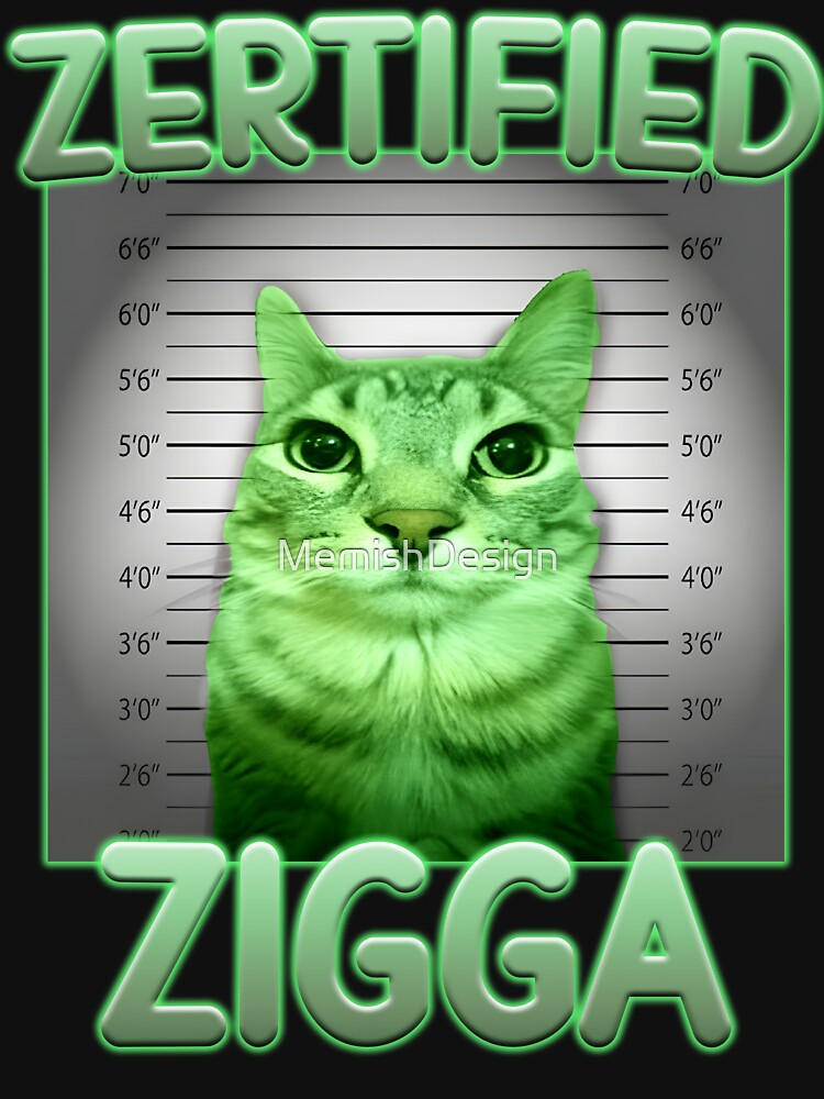 Funny Alien Brainrot Cat Meme Gift by MemishDesign