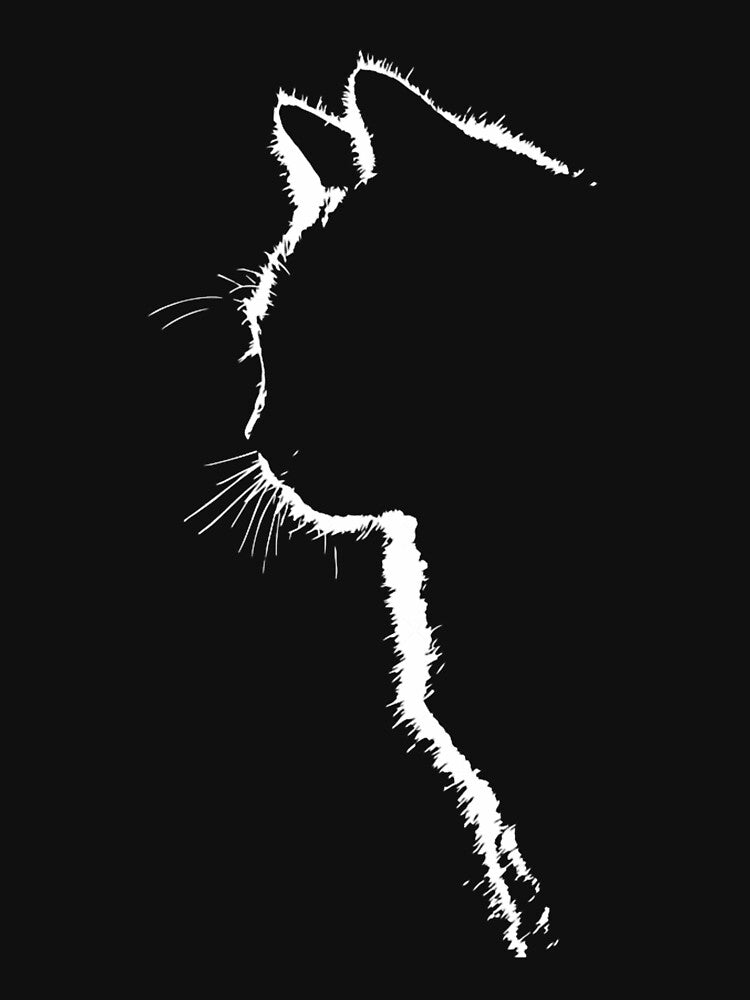 Cat silhouette by Deboraimentel