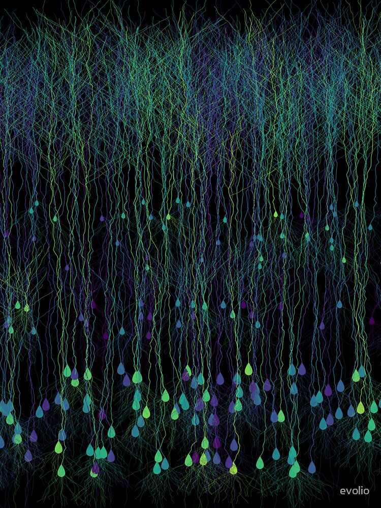 Brainbow Field Viridis by evolio