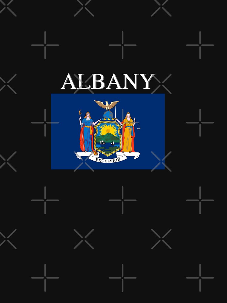 Albany, Capital of the State of New York. USA. by ONELOVEDESIGNS0