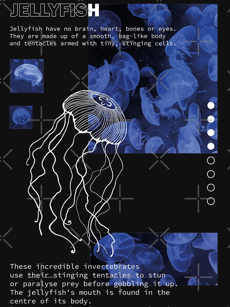 Jellyfish by ArinaAlex