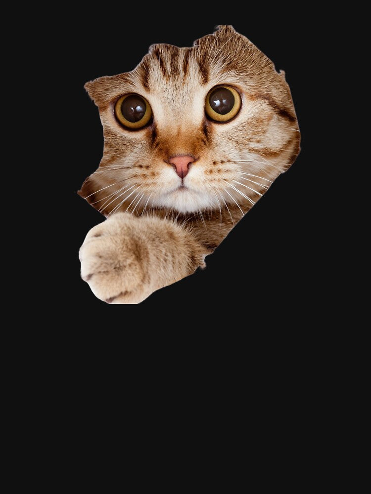 cute  funny adorable cat by TheVIP