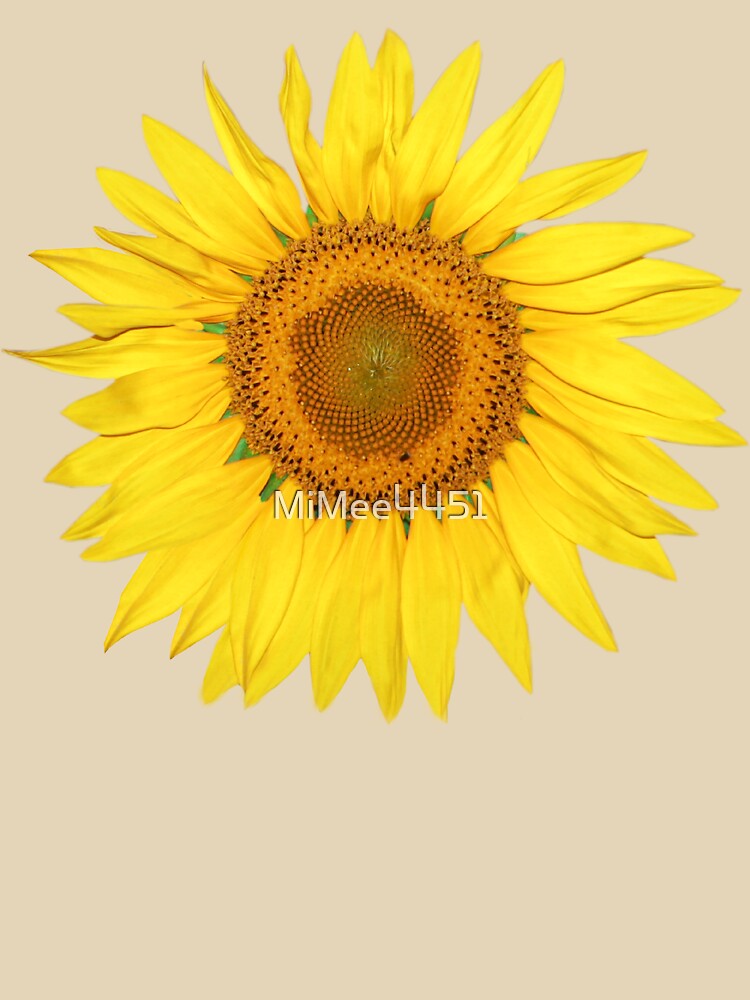 A beautiful, bright sunflower blossom, a yellow flower. by MiMee4451