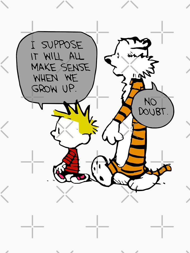 Calvin and hobbes Funny by BiedenbaOtylia