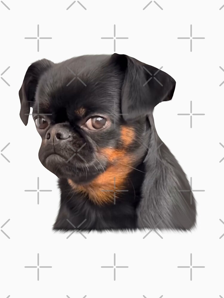 Puppy face Brussels Griffon Sad dog Meme by Prime_Store