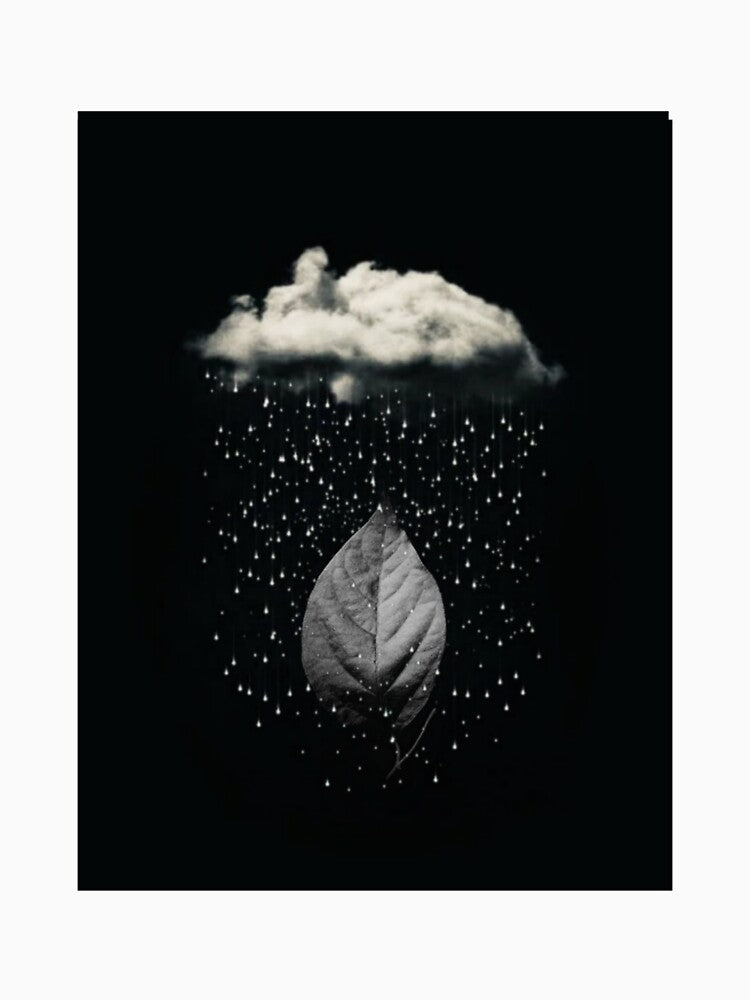 Illustrations rain in the plant by Z Design
