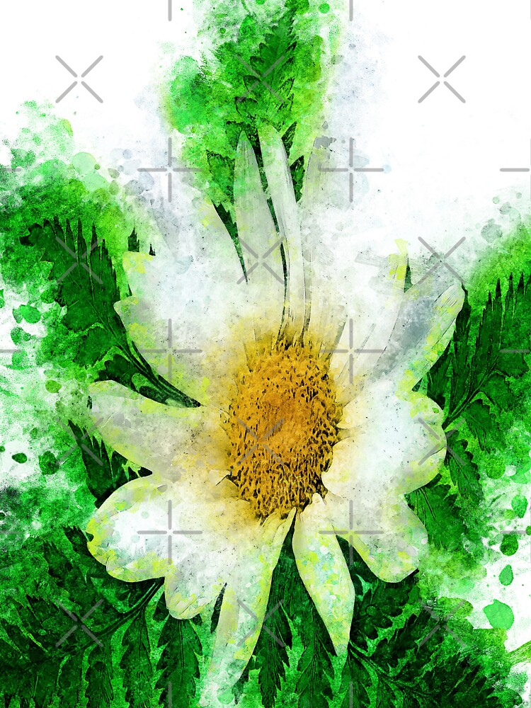 Chamomile Abstract color by artdragongift 15