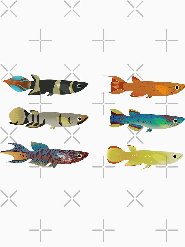 Various Killifish Pack by ShinsShui