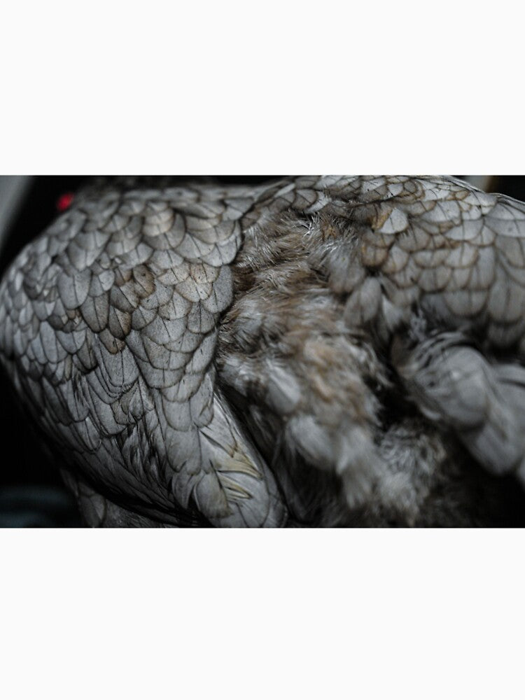 Scary Spice the Chicken by From The Dave Cave - Print on Demand
