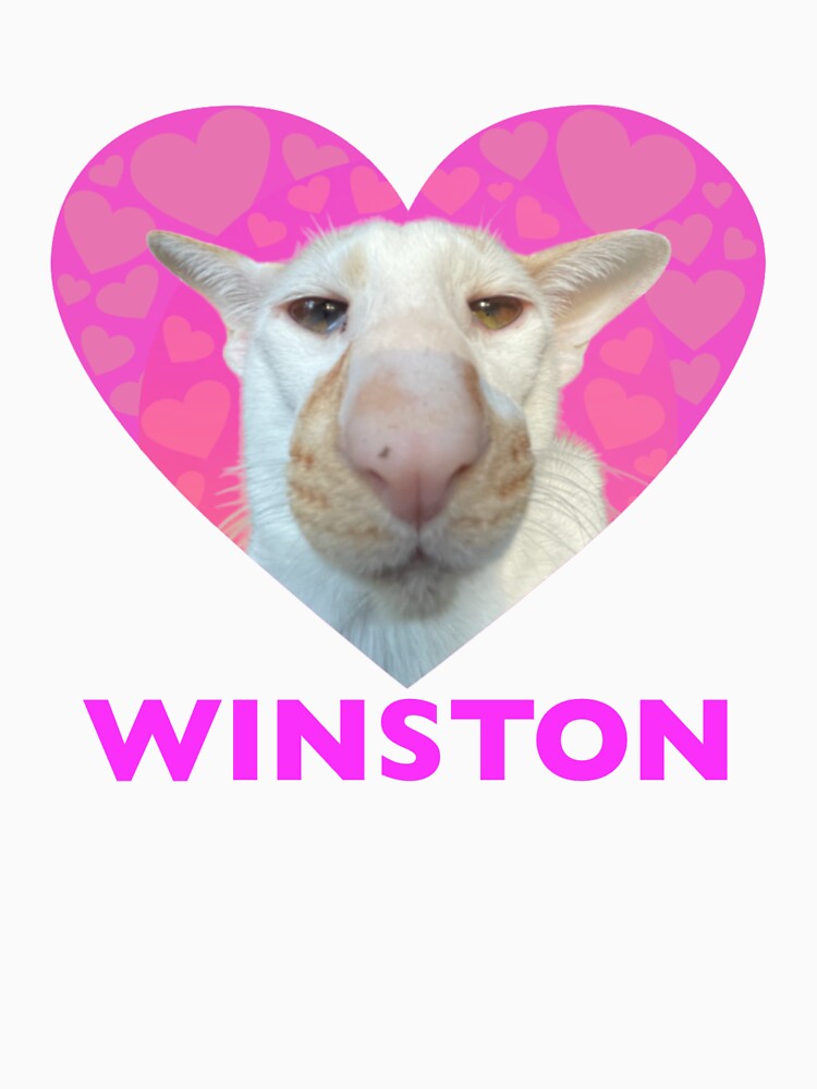 Winston. by hannahzgreat