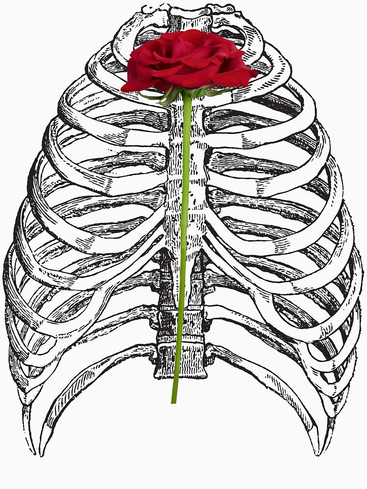 Skeleton with Rose, Rib Cage and Rose by PetriTomeckova