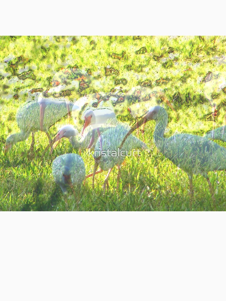 Illusionary Ibis Flock by kristalcurt