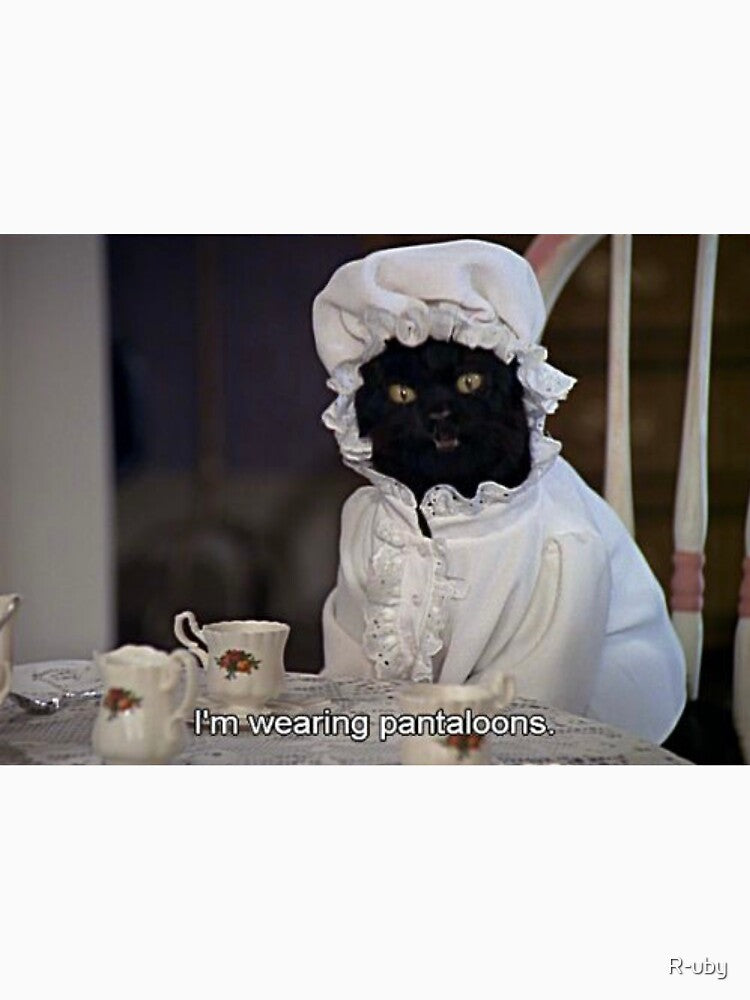 Salem - “I’m wearing pantaloons” by R-uby