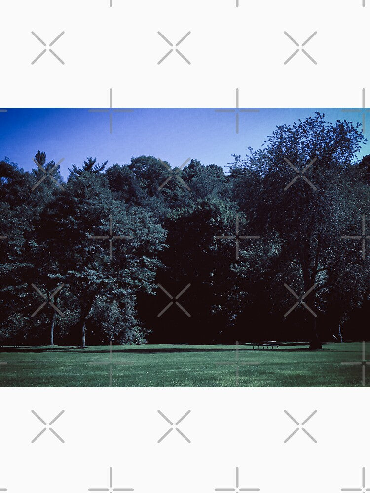 dazecore aesthetic trail landscape photography grunge vintage blue bunch of trees beautiful sky by sielexis