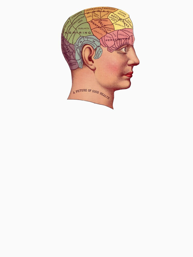 Vintage Brain map by Sebsson