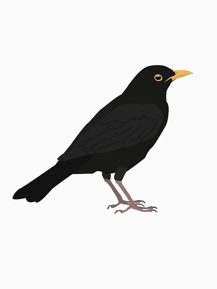 Blackbird by Smile-Birds