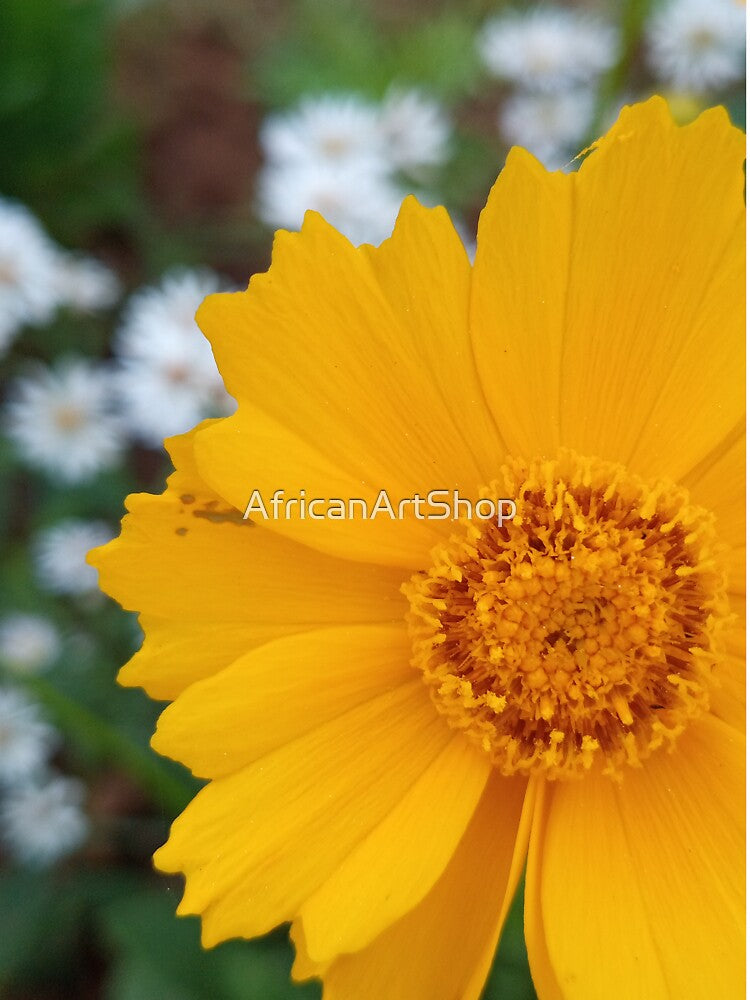 The flower by AfricanArtShop