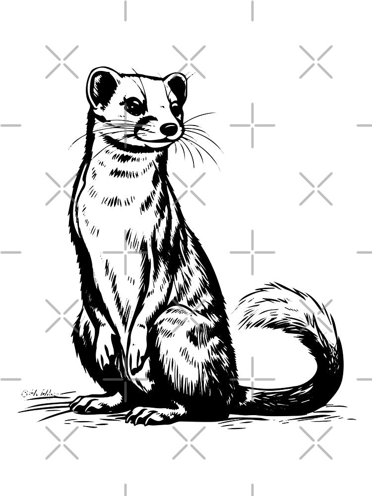 Weasel Mink Ferret Stoat Ermine Polecat Furry Wildlife by inkoutninja