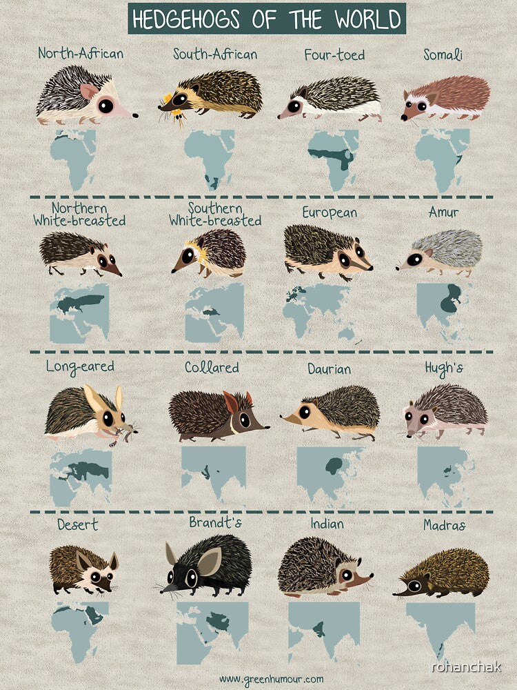 Hedgehogs of the World by Green Humour