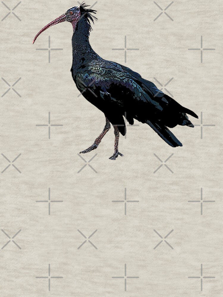 A Northern Bald Ibis Color Design Painting Print by designsasstultd