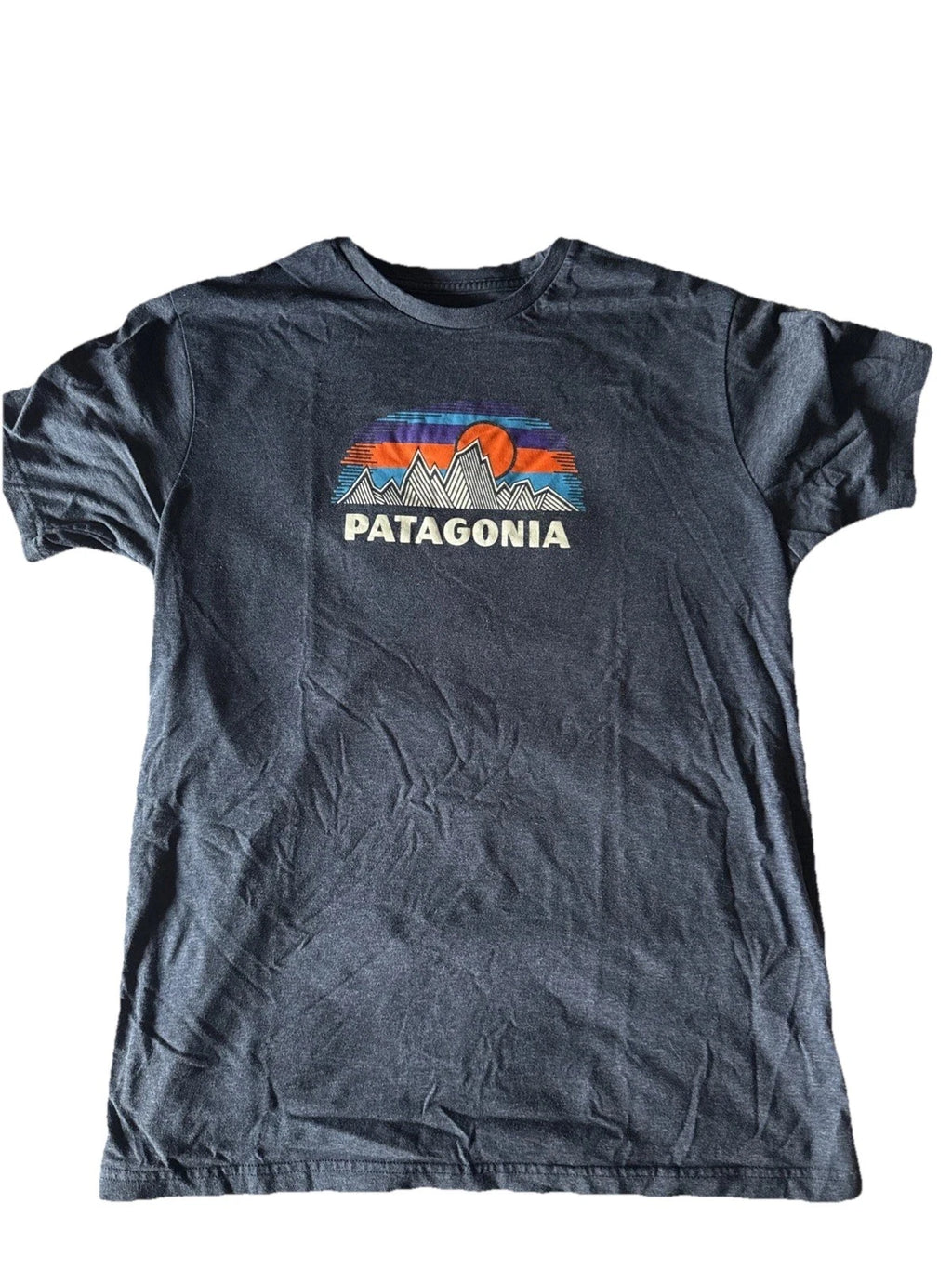 Patagonia Men's Short Sleeve T-Shirt Large Slim Fit