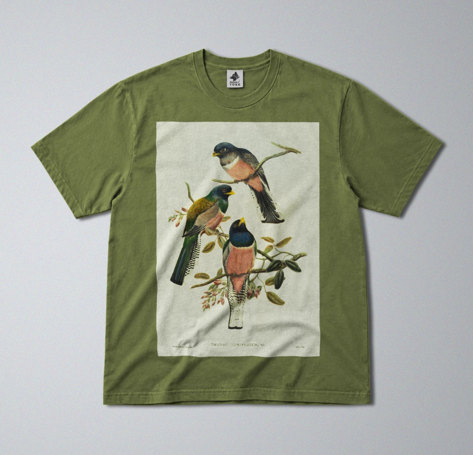 100% Cotton Tee - Regular Fit - Unisex - Colorful Perching Birds Print