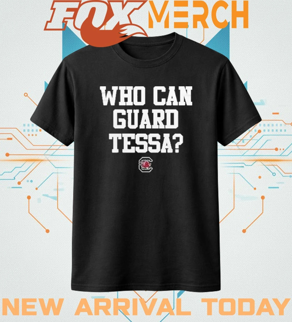 South Carolina Gamecocks Women’s Basketball Who Can Guard Tessa t-shirt