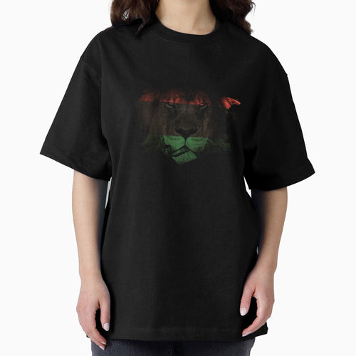 African Lion Flag Paint Splatter by ockshirts