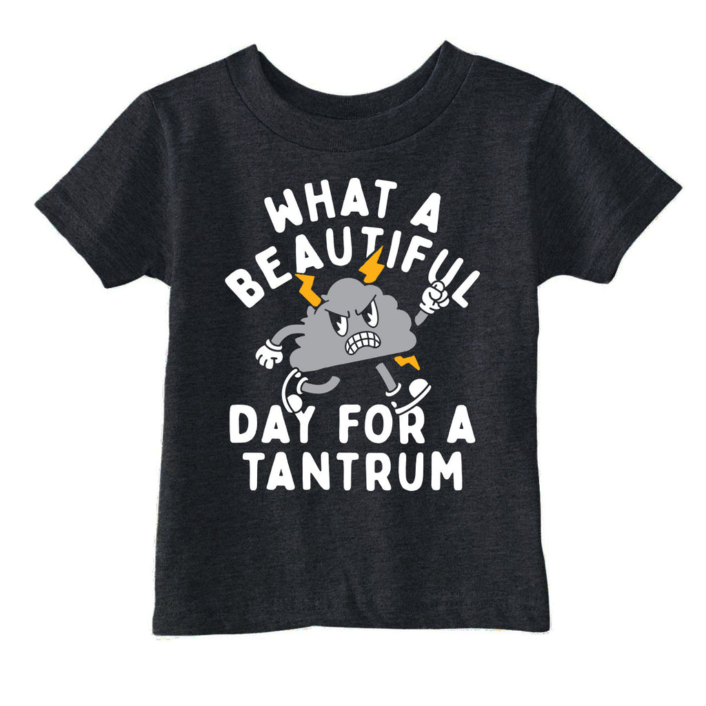 What A Beautiful Day For A Tantrum Toddler T Shirt