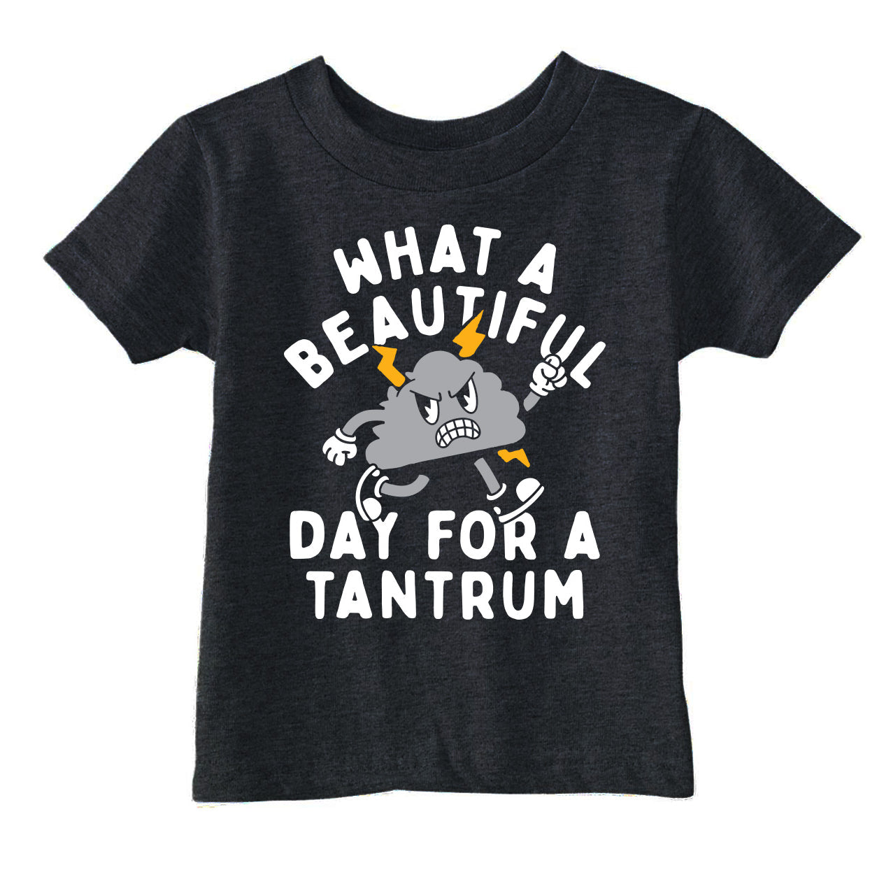 What A Beautiful Day For A Tantrum Toddler T Shirt