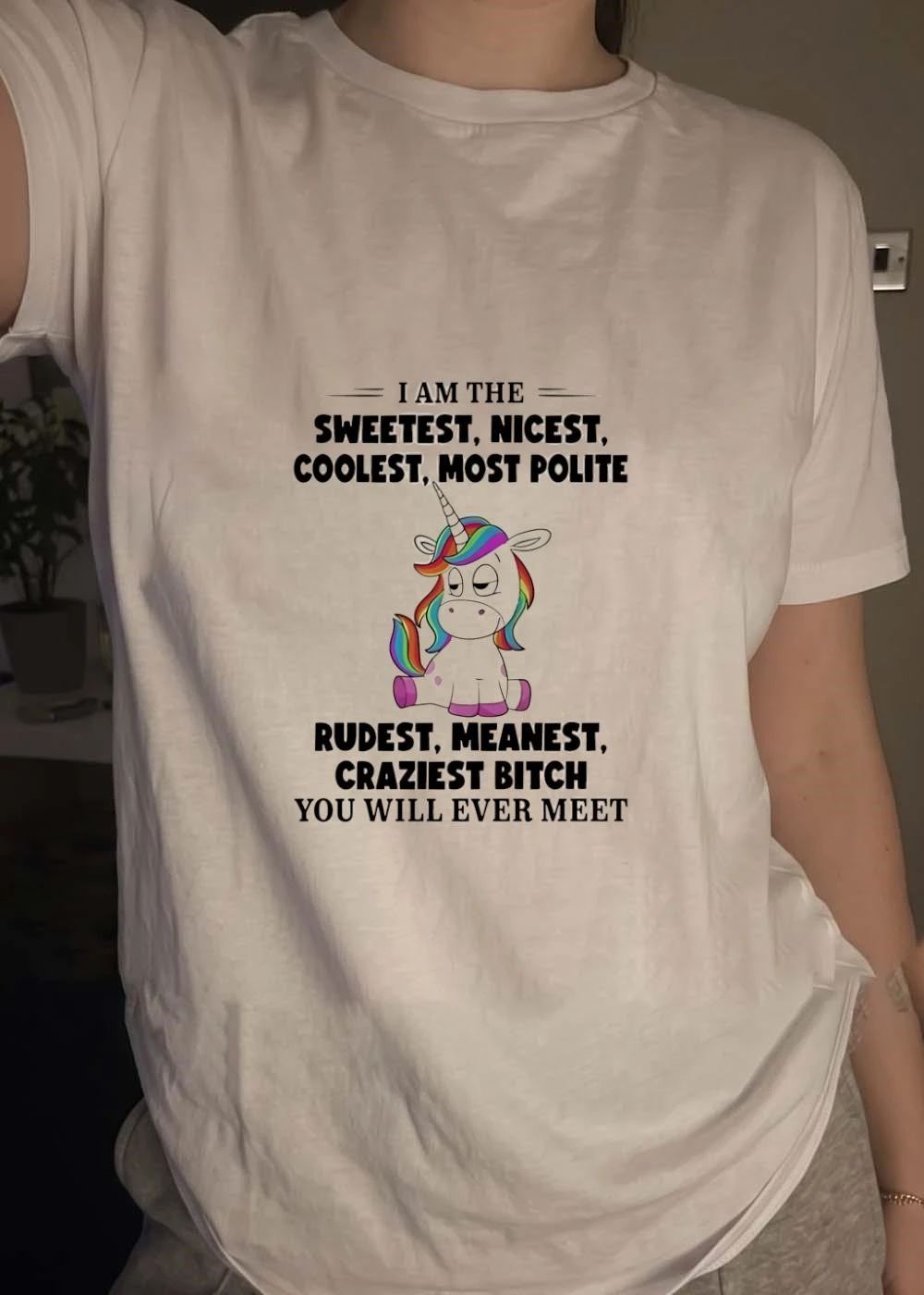 Unicorn Apparel I Am The Sweetest Nicest Coolest Most Polite Rudest Meanest Craziest Bitch You Will Ever Meet T-Shirt