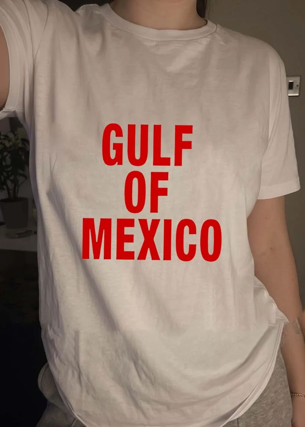 Gulf Of Mexico shirt